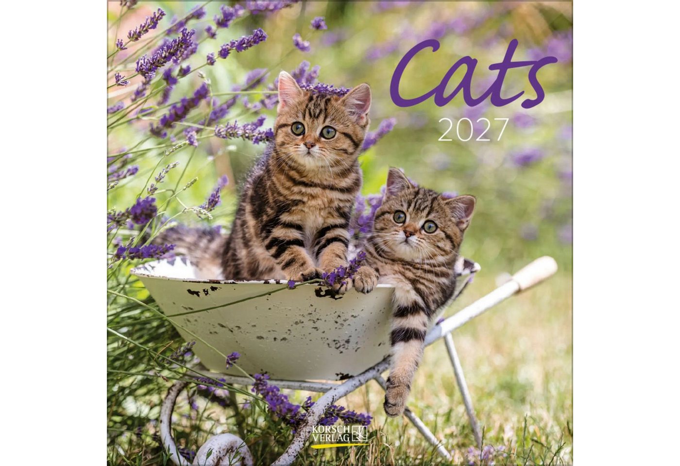 Korsch Verlag Wandkalender Cats 2027 Bild 5