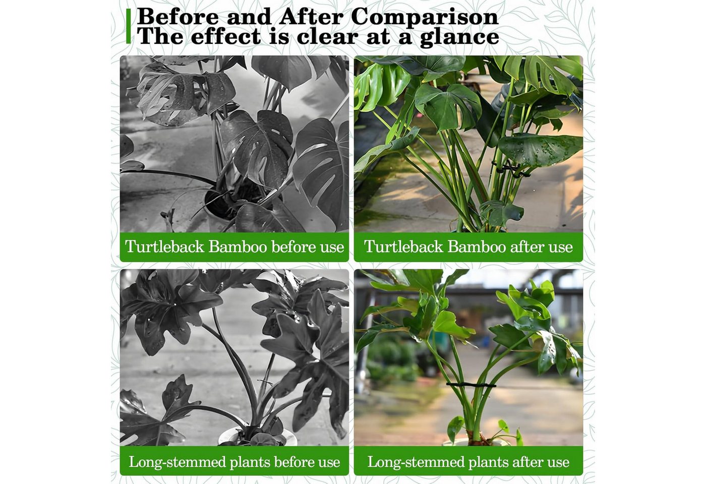 Coonoor Gartenpflege-Set 4 Stück Staudenhalter, Rankhilfe und Pflanzenhalter Bild 2