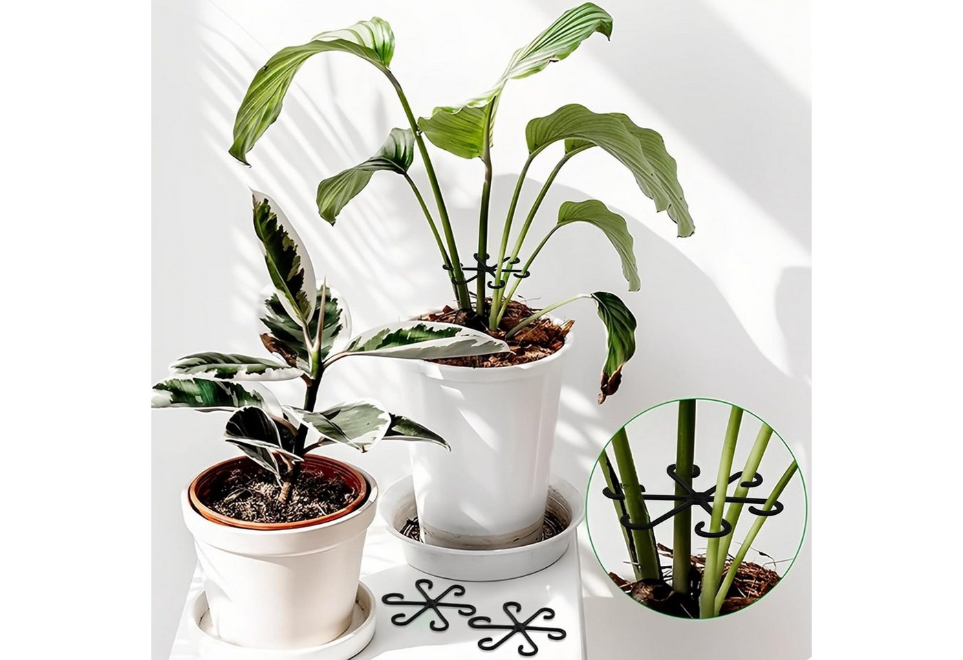 Coonoor Gartenpflege-Set 4 Stück Staudenhalter, Rankhilfe und Pflanzenhalter Bild 4