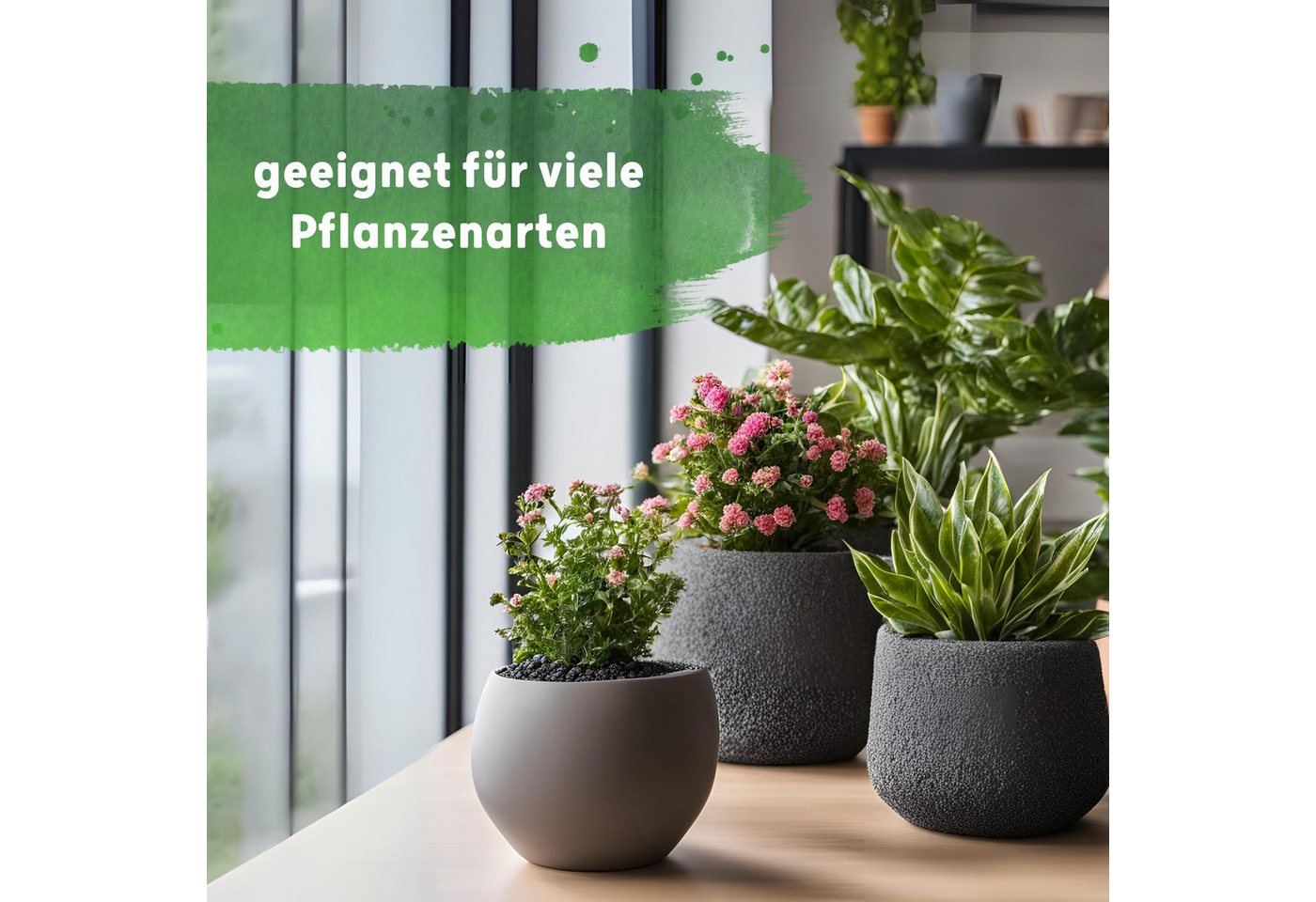Blusana Pflanzendünger Hydrokultur NPK Nährstoffe Langzeitdünger, Lewatit HD 50, Dünger Granulat - 3 bis 4 Monate Wirkung Bild 4