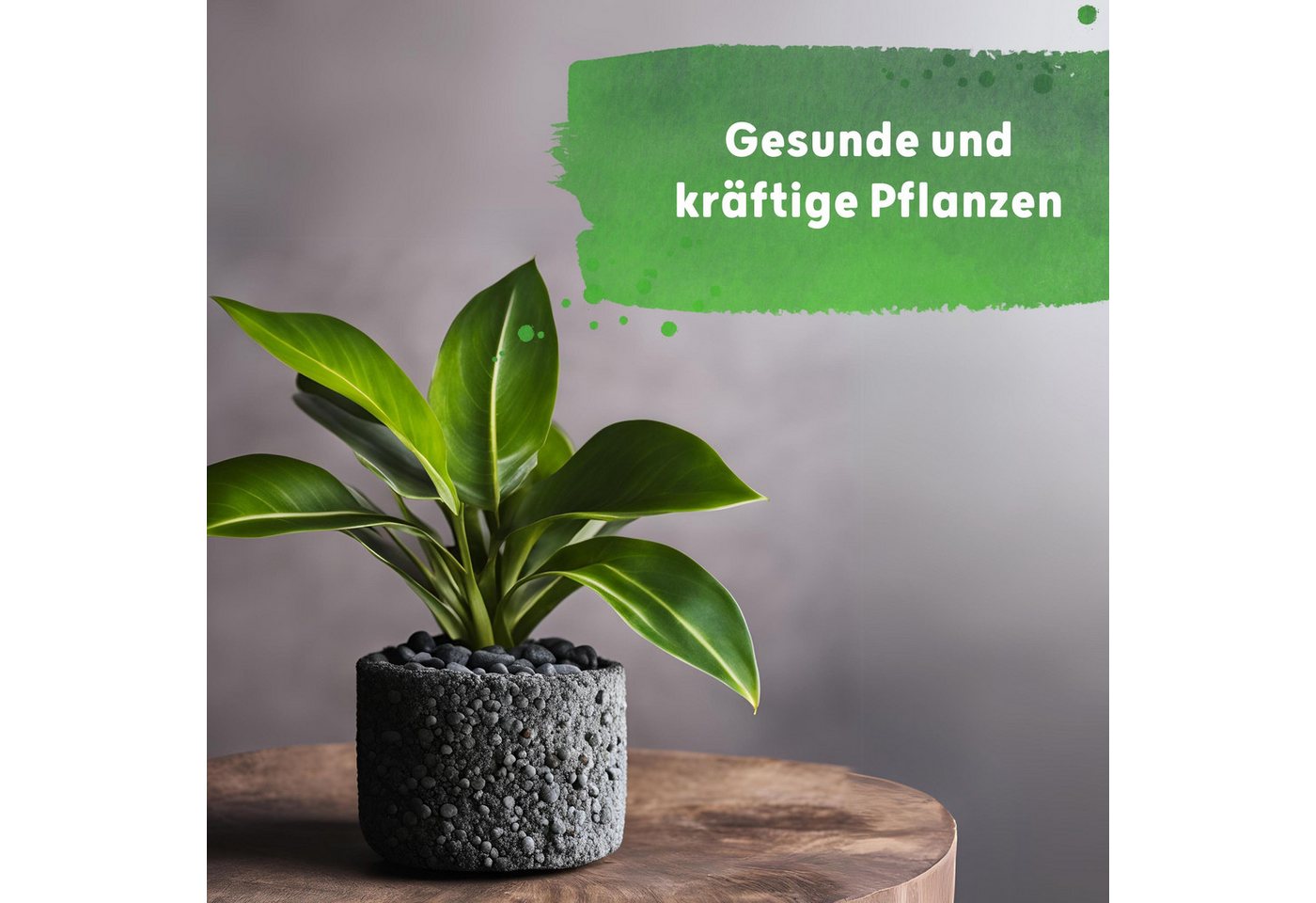 Blusana Pflanzendünger Hydrokultur NPK Nährstoffe Langzeitdünger, Lewatit HD 50, Dünger Granulat - 3 bis 4 Monate Wirkung Bild 5