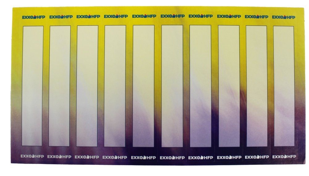 EXXO by HFP Ringbuchmappe 10 Stück Ringbuch A4, aus PP-Folie, Perlfarben, mit 2er Rundringmechanik und selbstklebendem Rückenschild Bild 5