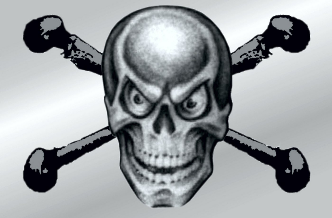 Hermann Schütz Aufkleber Aufkleber Totenkopf 70 x 105 mm reflektierend Bild 3