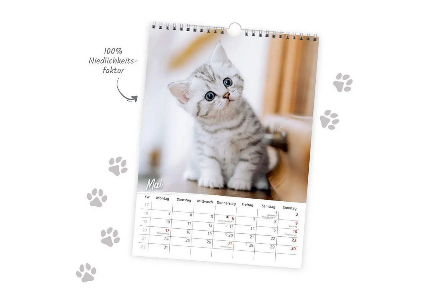 Trötsch Verlag Wandkalender TRÖTSCH - Classickalender Liebste Katzen 2027
