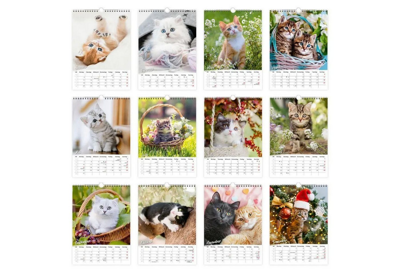 Trötsch Verlag Wandkalender TRÖTSCH - Classickalender Liebste Katzen 2027 Bild 2