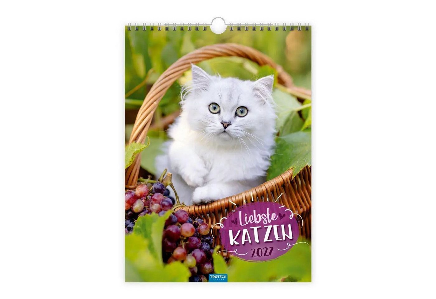 Trötsch Verlag Wandkalender TRÖTSCH - Classickalender Liebste Katzen 2027 Bild 3
