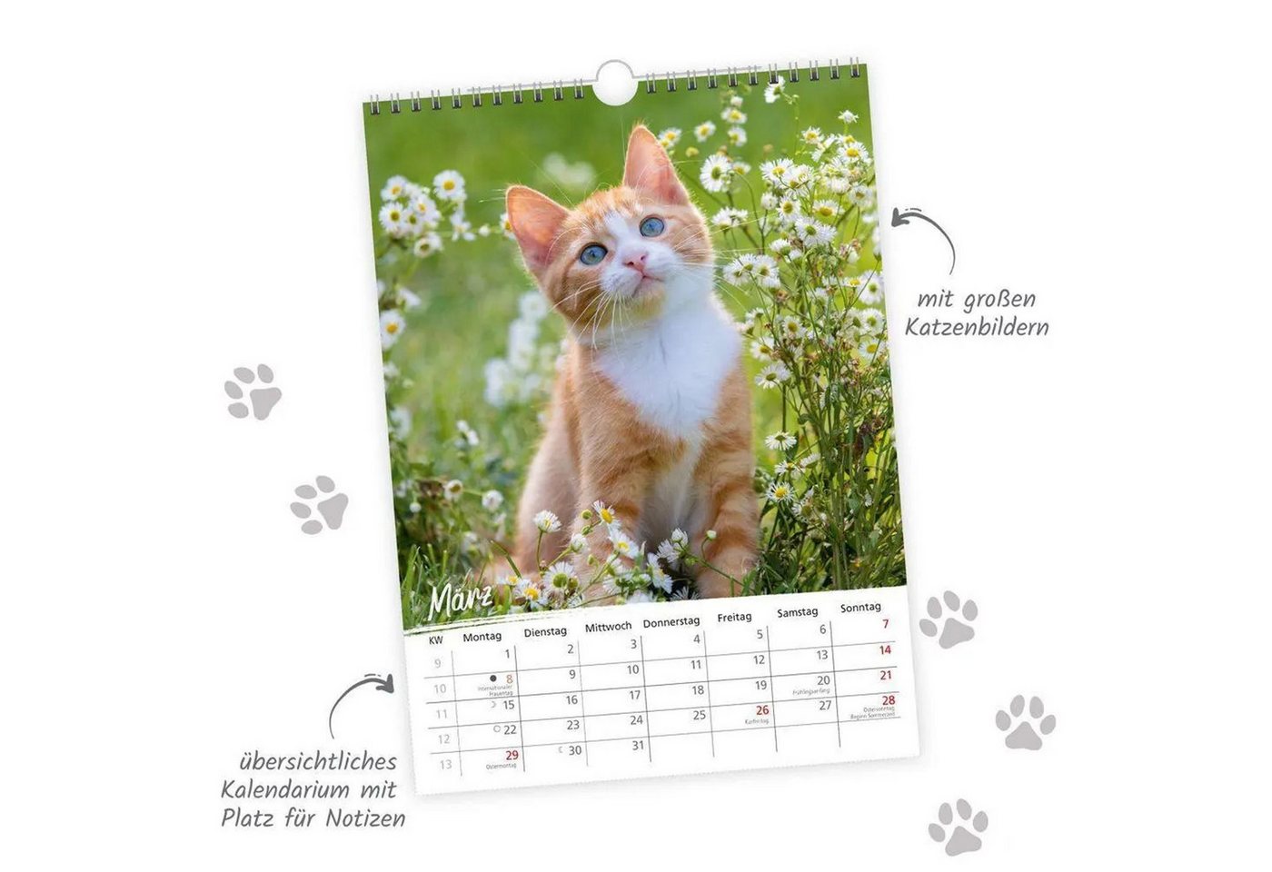 Trötsch Verlag Wandkalender TRÖTSCH - Classickalender Liebste Katzen 2027 Bild 5