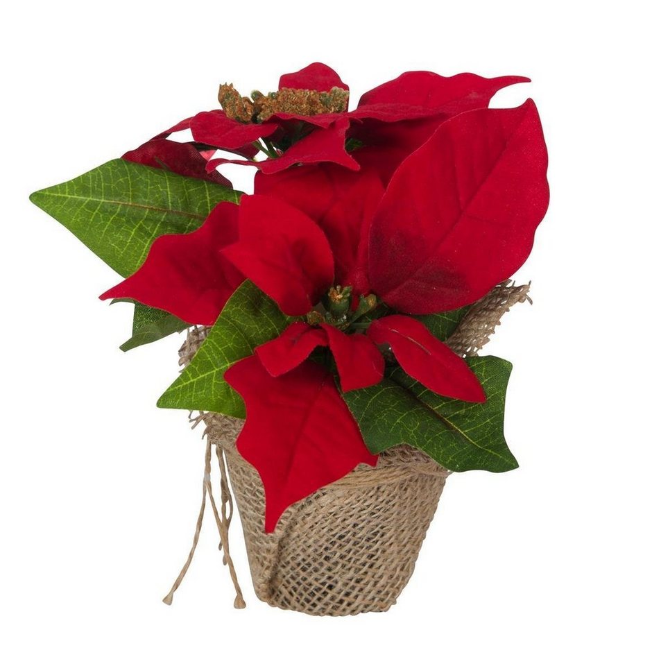 Winterliche Kunstpflanze 3 Stk. Weihnachtsstern Künstlich Christstern Poinsettie Dekoblume Rot, Bambelaa!