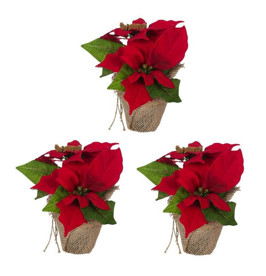 Winterliche Kunstpflanze 3 Stk. Weihnachtsstern Künstlich Christstern Poinsettie Dekoblume Rot, Bambelaa! Bild 2