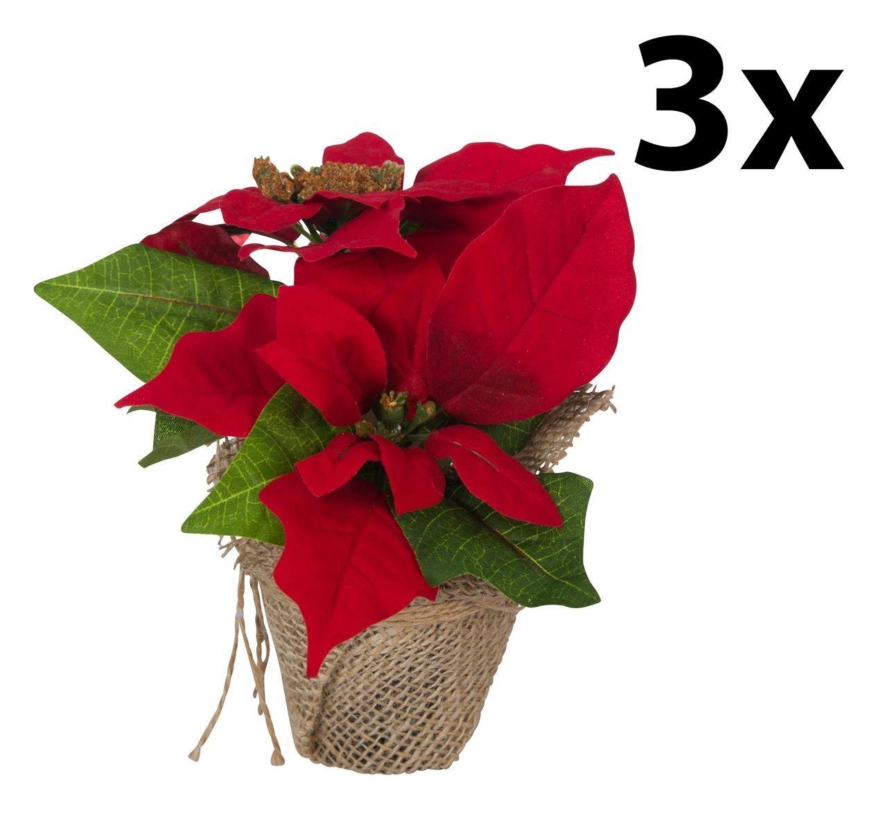 Winterliche Kunstpflanze 3 Stk. Weihnachtsstern Künstlich Christstern Poinsettie Dekoblume Rot, Bambelaa! Bild 3