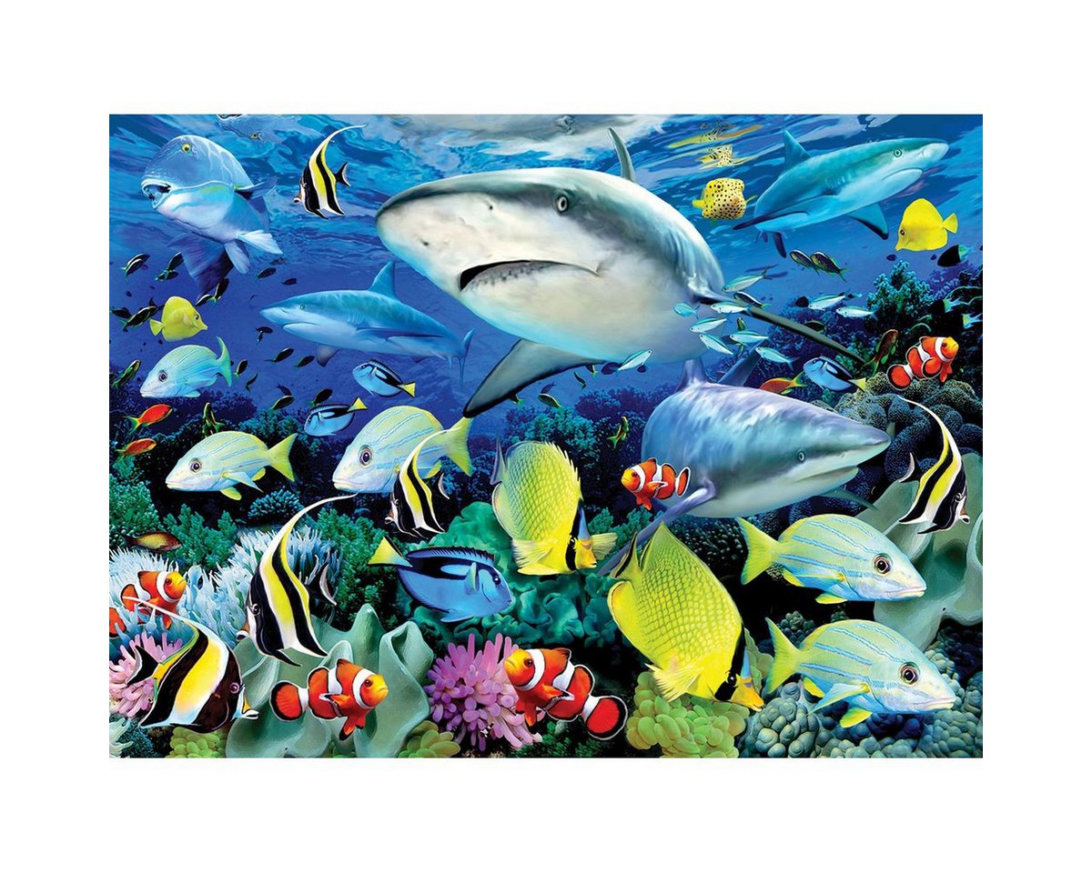 Pracht Malen nach Zahlen PRACHT Malen nach Zahlen Junior Fische 40x32,5cm