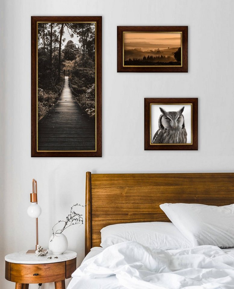 Einzelrahmen Bilderrahmen Cambridge, (1 Stück), 50x70 cm, Nussbaum Gold, Holz Bild 2