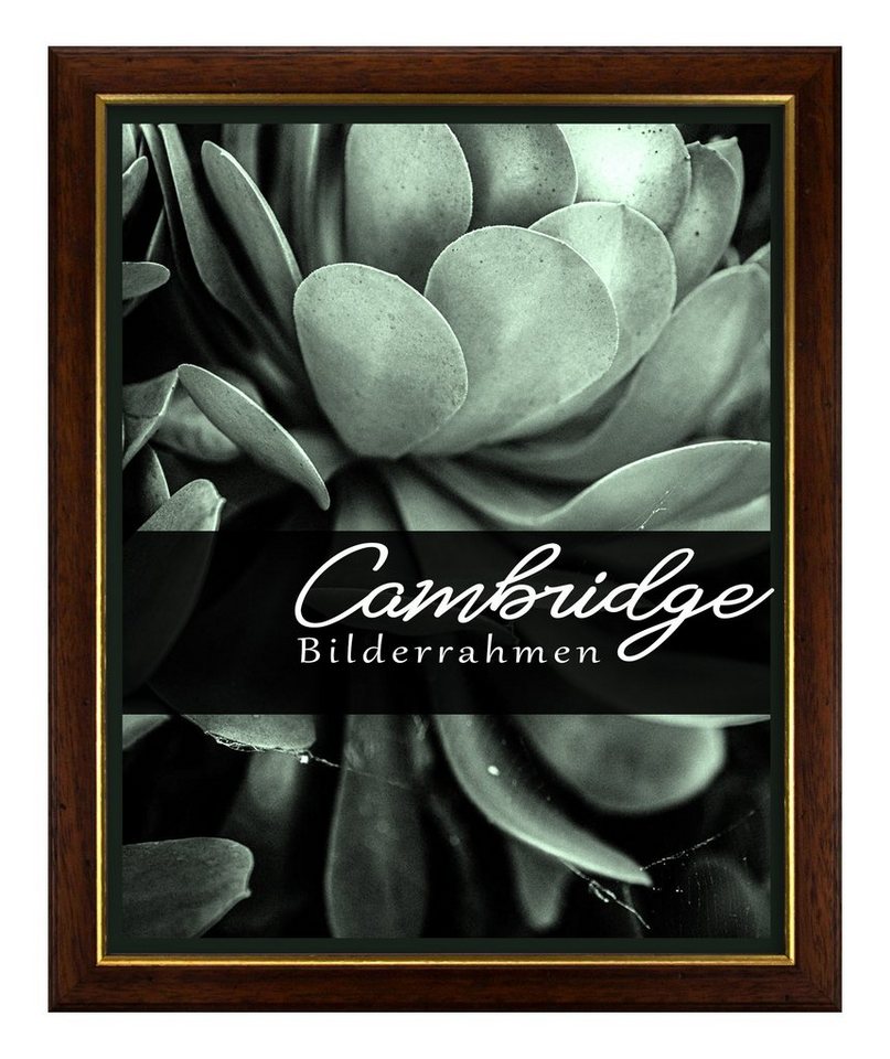 Einzelrahmen Bilderrahmen Cambridge, (1 Stück), 50x70 cm, Nussbaum Gold, Holz Bild 3