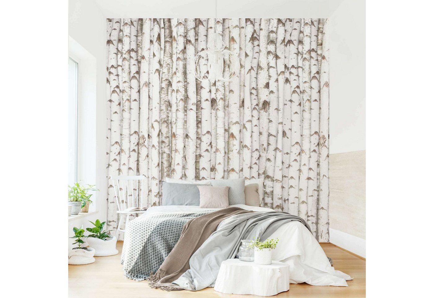 Bilderdepot24 Vliestapete Holzoptik Birkenwand Bäume Wald 3D-Effekt Stamm Muster Wanddeko, Glatt, Matt, (Vliestapete inkl. Kleister oder selbstklebend), Wohnzimmer Schlafzimmer Küche Flur Fototapete Motivtapete Wandtapete