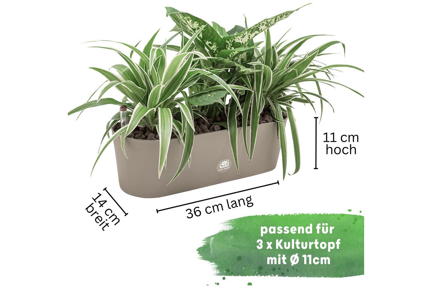 LENI Jardiniere Blumentopf länglich Pflanzkasten 36 cm lang Kräuter & Zimmerpflanzen (Komplettes Starter Set Selbstbewässerungstopf, mit 3 x Kulturtopf, 1 x Wasserstandsanzeiger, 5l Pflanzton), Übertopf ohne Loch für Hydrokultur & Erde, perfekt als Kräuter-Topf Bild 2