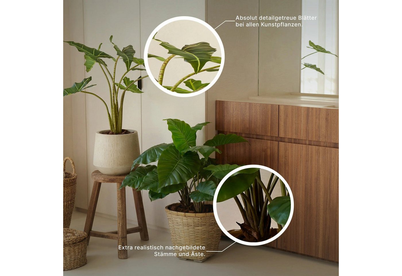 Kunstpflanze Künstliche Fittonia - Fit, aplanta Bild 5