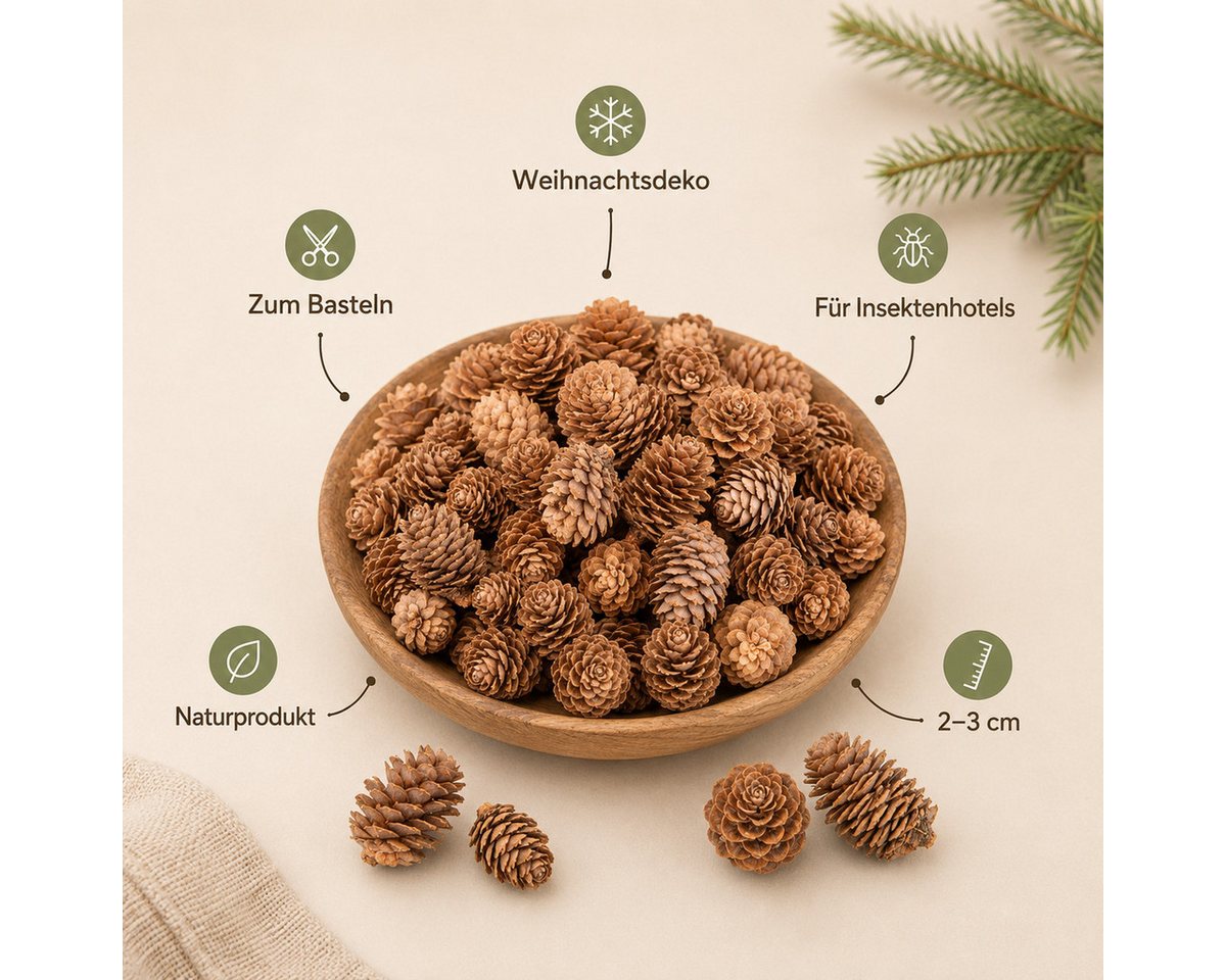 NaDeco Bastelnaturmaterial NaDeco Lärchenzapfen natur, 0,5 kg, 175 bis 200 Stück, 2 bis 3 cm