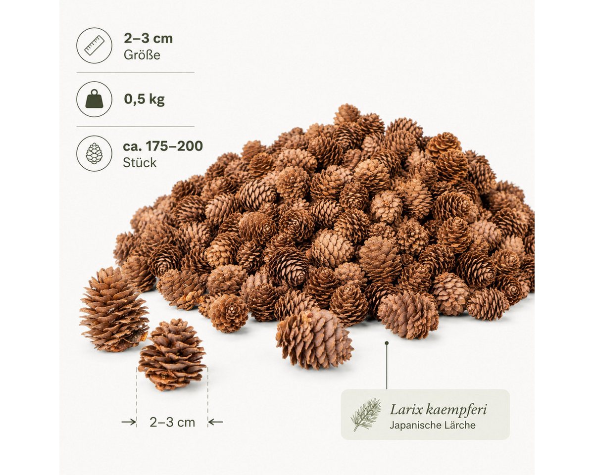 NaDeco Bastelnaturmaterial NaDeco Lärchenzapfen natur, 0,5 kg, 175 bis 200 Stück, 2 bis 3 cm Bild 2