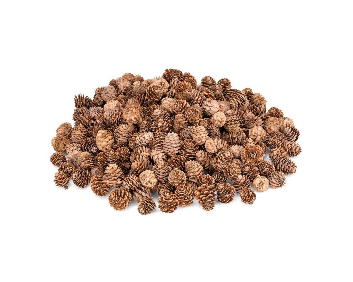 NaDeco Bastelnaturmaterial NaDeco Lärchenzapfen natur, 0,5 kg, 175 bis 200 Stück, 2 bis 3 cm Bild 5