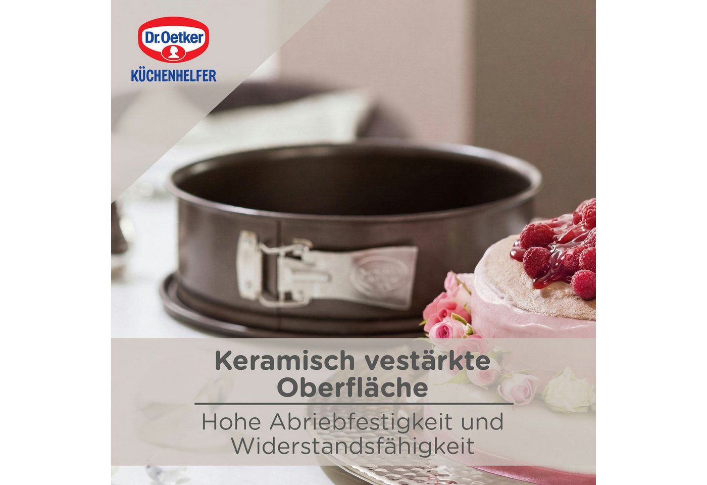 Dr. Oetker Küchenhelfer Springform Springform mit Emaille-Servierboden Bild 2
