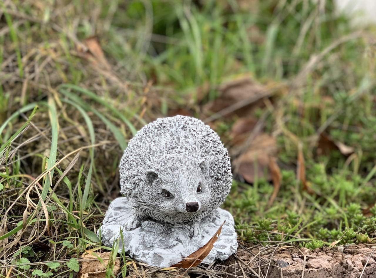 Stone and Style Gartenfigur Frostfeste Steinfigur kleiner Igel Little Ferdi