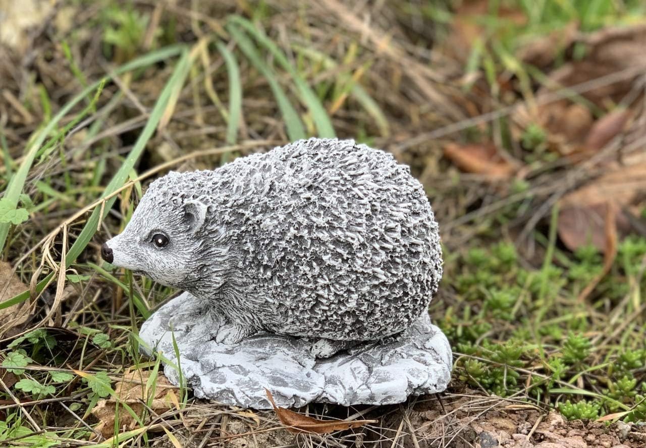Stone and Style Gartenfigur Frostfeste Steinfigur kleiner Igel Little Ferdi Bild 3