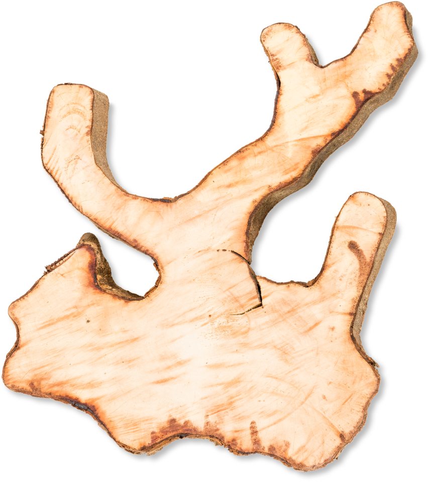 NaDeco Bastelnaturmaterial Ornament Holzscheibe natur ca. 30-40cm Inoca Root Bild 2