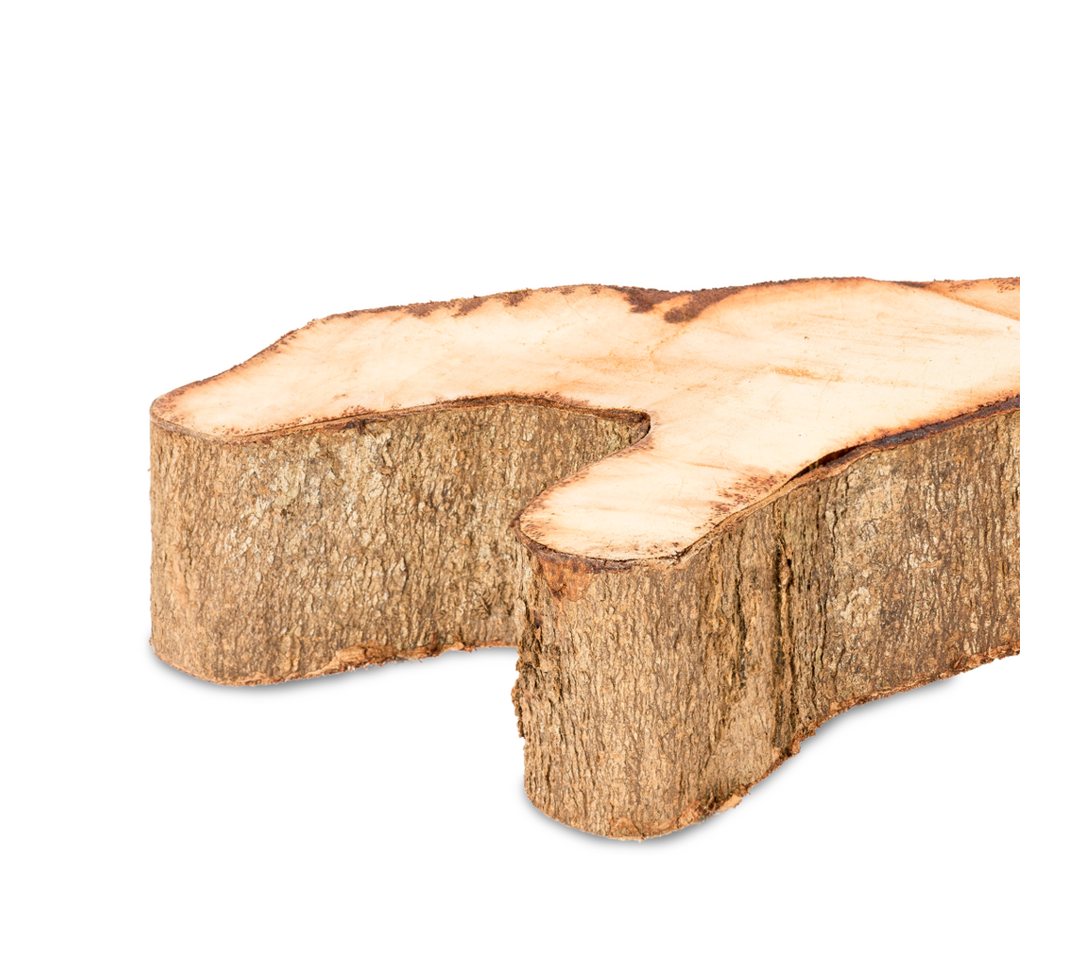 NaDeco Bastelnaturmaterial Ornament Holzscheibe natur ca. 30-40cm Inoca Root Bild 3