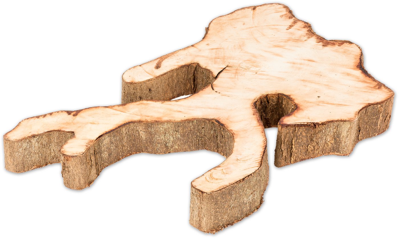NaDeco Bastelnaturmaterial Ornament Holzscheibe natur ca. 30-40cm Inoca Root Bild 4