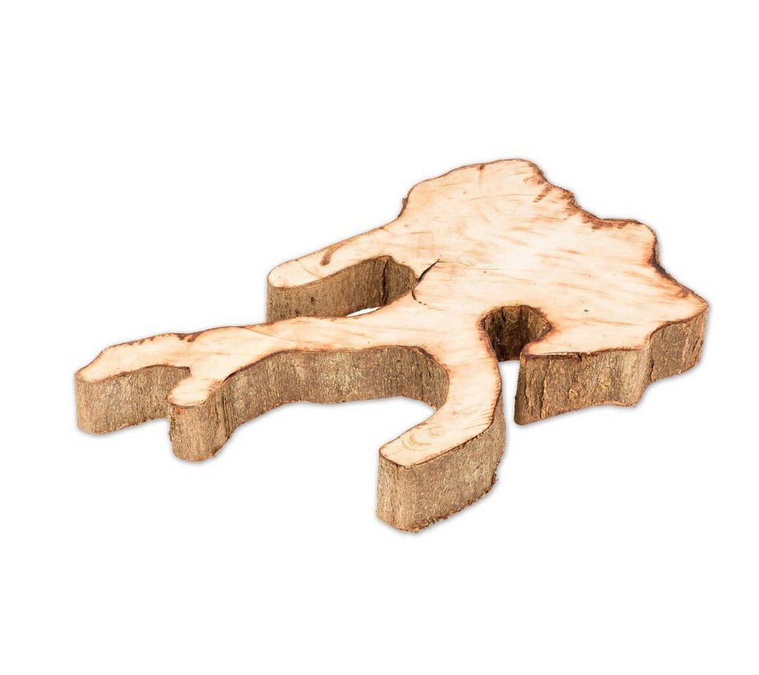 NaDeco Bastelnaturmaterial Ornament Holzscheibe natur ca. 30-40cm Inoca Root Bild 5