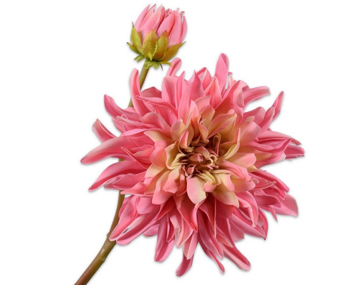Künstliche Zimmerpflanze Seidenblume Dahlie Rosa (81cm), SILK-KA