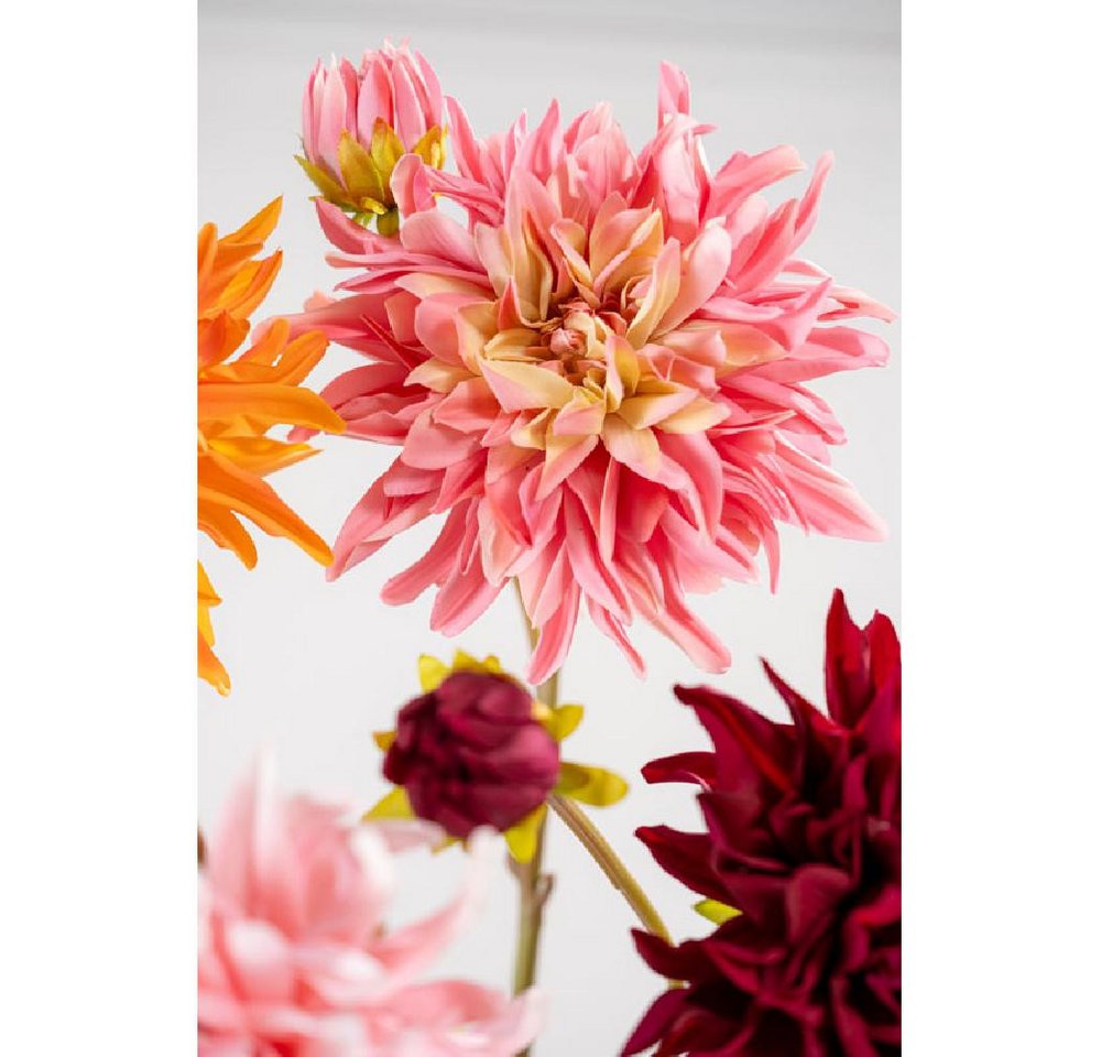Künstliche Zimmerpflanze Seidenblume Dahlie Rosa (81cm), SILK-KA Bild 3