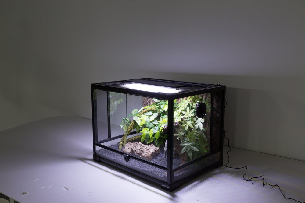 ReptiZoo Terrarienleuchte ReptiZoo LED Lichthaube 15 Watt (LED005) Bild 2