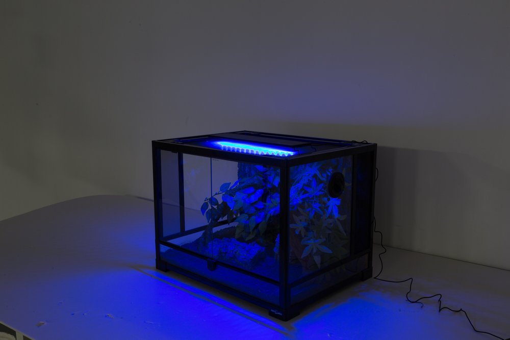 ReptiZoo Terrarienleuchte ReptiZoo LED Lichthaube 15 Watt (LED005) Bild 4