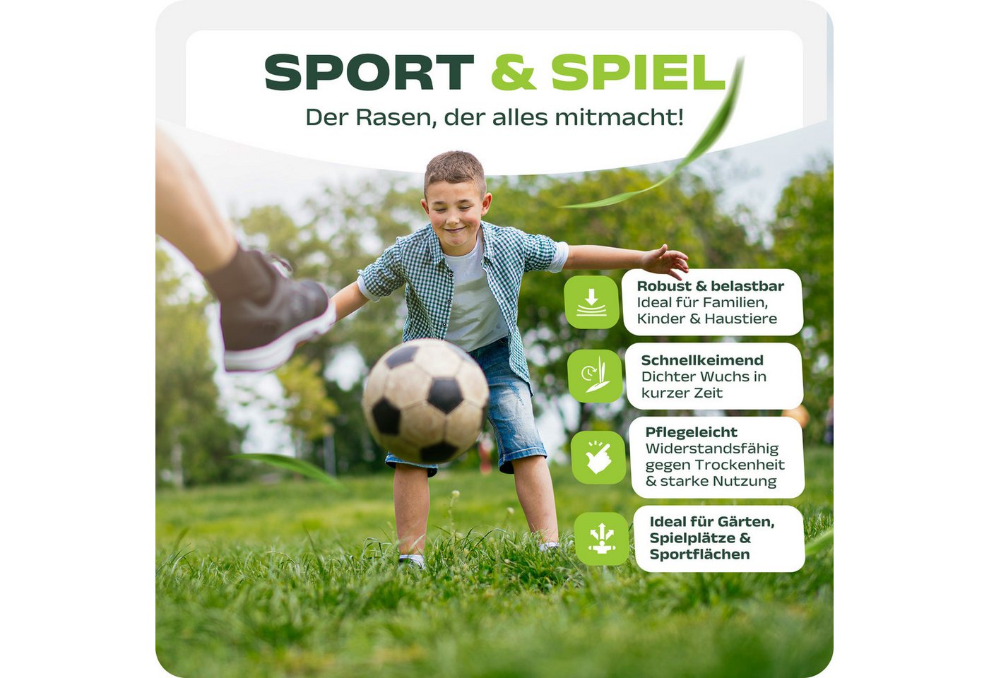 halmland Rasensamen Halmland Premium Rasensamen 5kg schnellkeimend für Sport & Spiel 200m² Bild 4