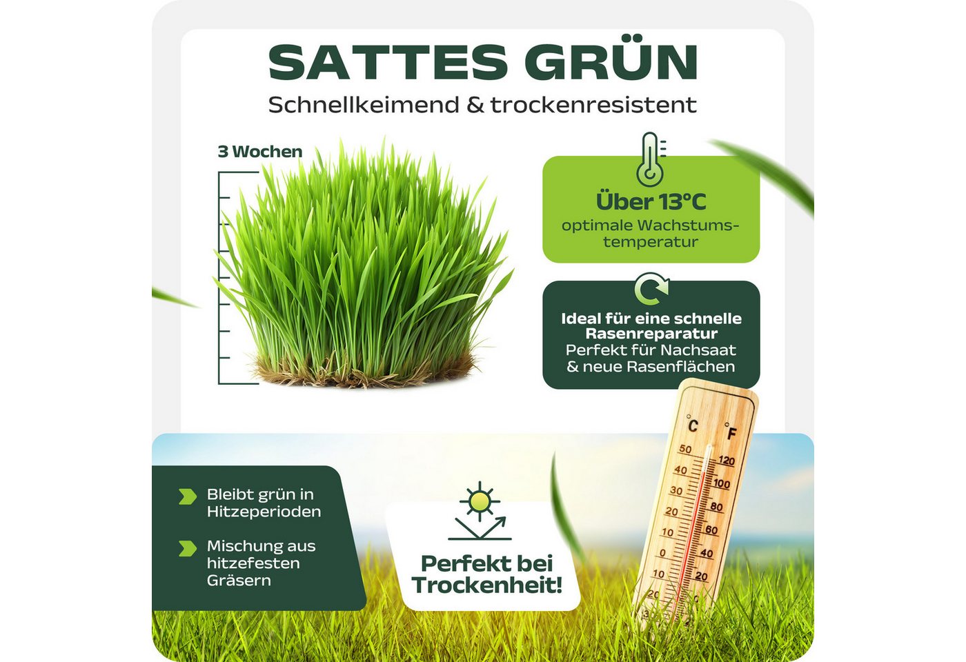halmland Rasensamen Halmland Premium Rasensamen 5kg schnellkeimend für Sport & Spiel 200m² Bild 5