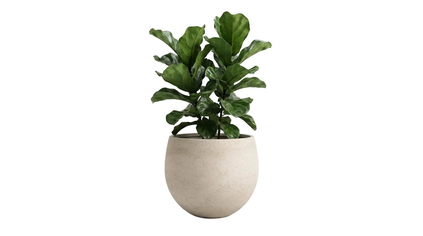 aplanta Blumentopf Pflanztopf Sandro beige, 28X23 Bild 4