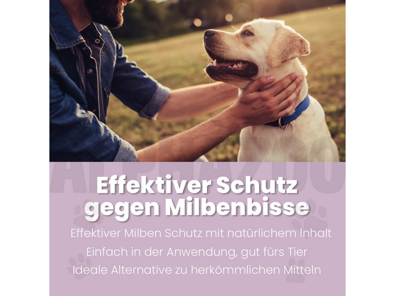 ALPHAZOO Milbenspray MilbHunter Spot-On für Hunde 100 ml, 100 ml, 1-St., Einfach gegen Milben und Grasmilben Bild 2