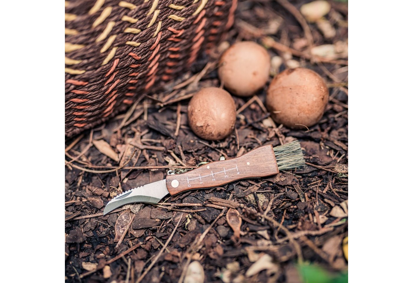 Flanacom Taschenmesser Pilzmesser aus Edelstahl mit Bürste und Lineal, Klappmesser für Outdoor und Camping, rostfrei
