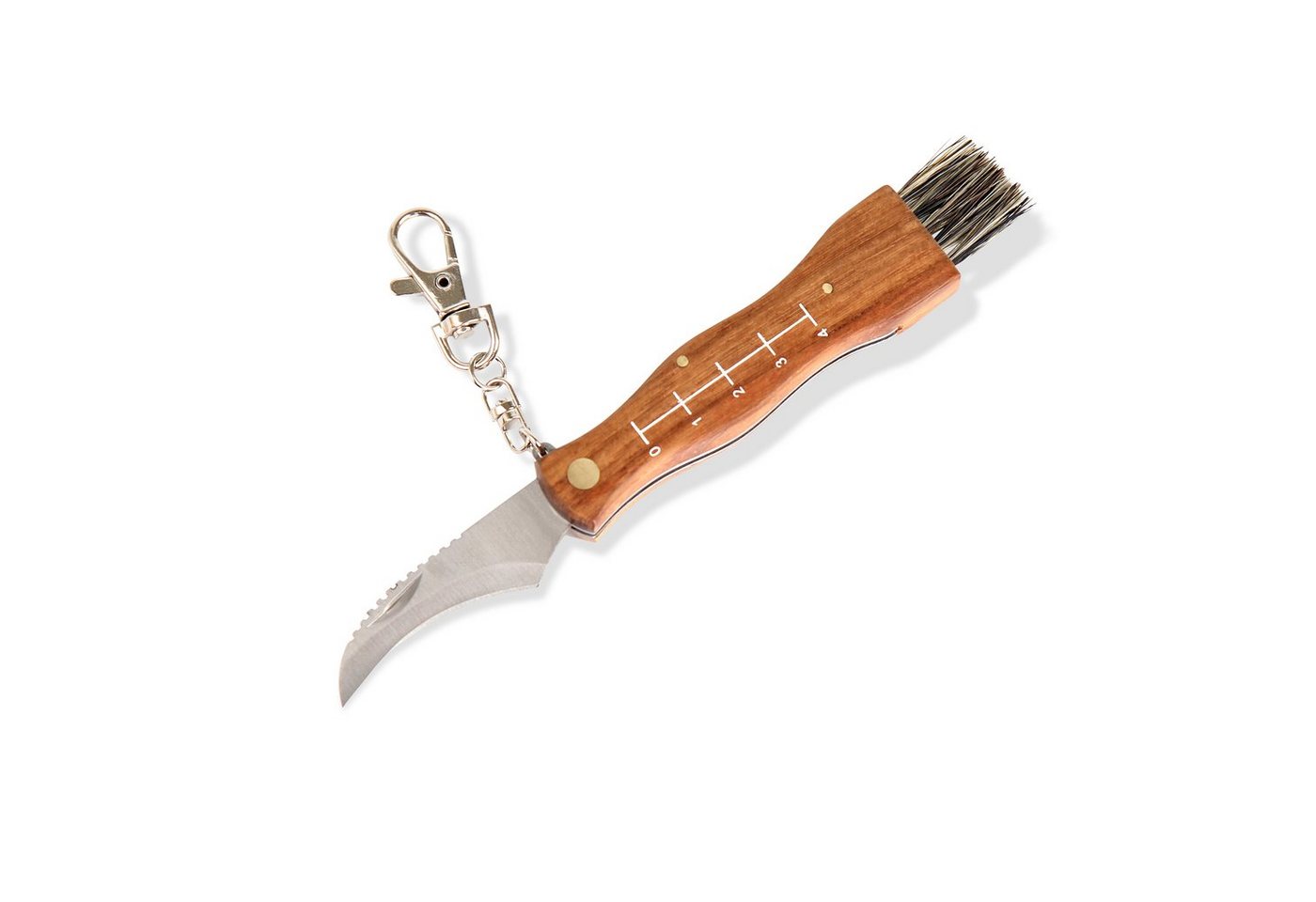 Flanacom Taschenmesser Pilzmesser aus Edelstahl mit Bürste und Lineal, Klappmesser für Outdoor und Camping, rostfrei Bild 4