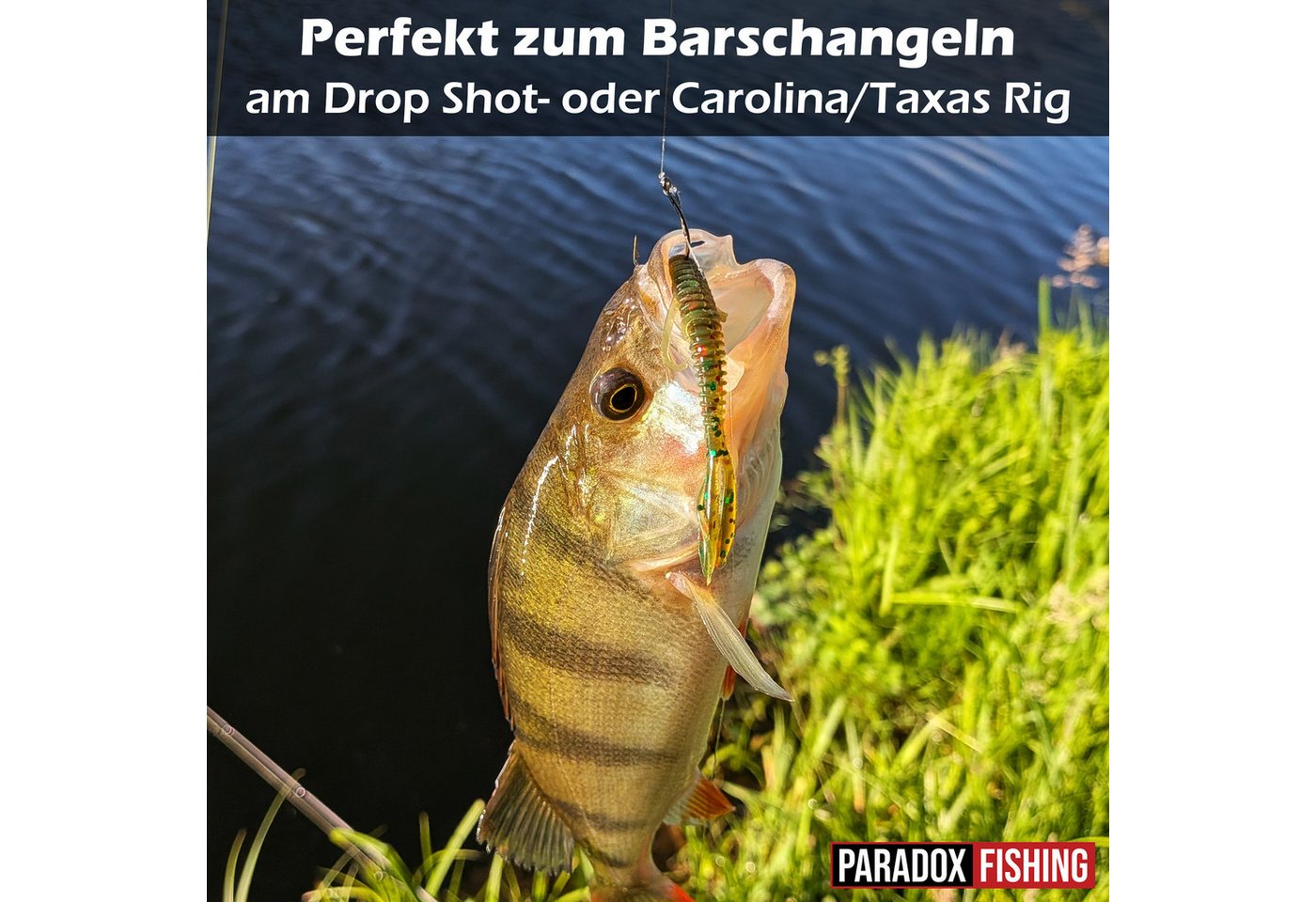 Paradox Fishing Angelgewicht Dropshot Komplett Set 91 Teile, (Spar-Set, Komplett Set), 40 UV-aktive 7cm Creature Baits Bild 3