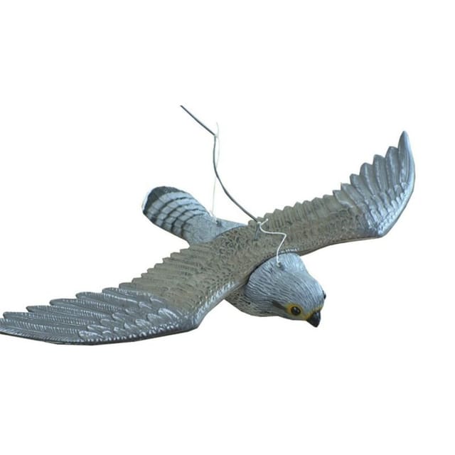 Pluvia Flying Eagle 58x35x10 Ref 501