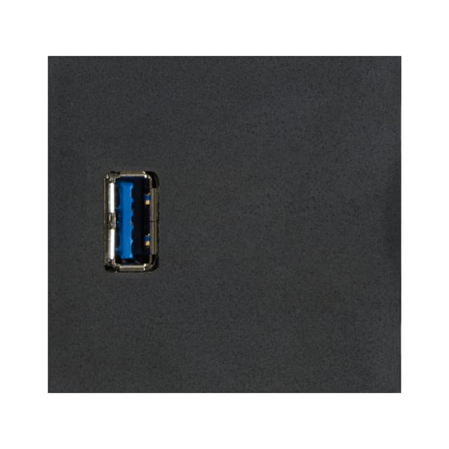 Evoline - Wechselmodul 1x usb 3.0 Typ a Buchse vorne und hinten Kunststoff schwarz