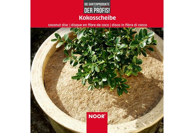 Noor - Kokosscheibe Durchmesser 25cm