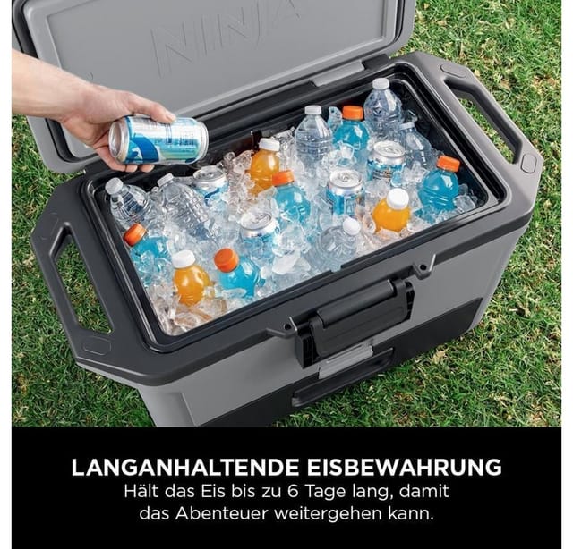 Ninja - FrostVault 47 l Kühlbox mit Trockenzone schiefergrau FB151EUGY