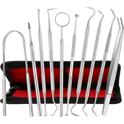 10-teiliges Dental-instrumentenset – Professionelles Reinigungs- Und Plaqueentfernungsset Mit Etui, 1 Stück