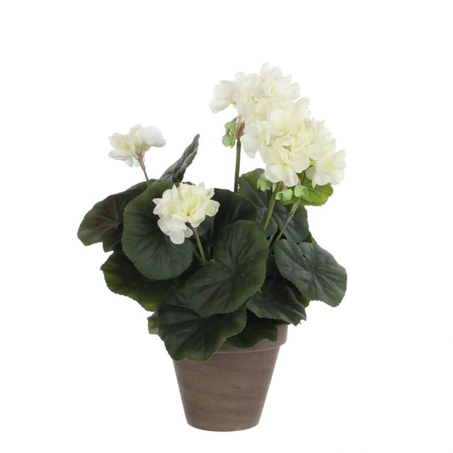 Mica Decorations - Mica Geranium im Topf creme, 34 x 20 cm Kunstpflanzen