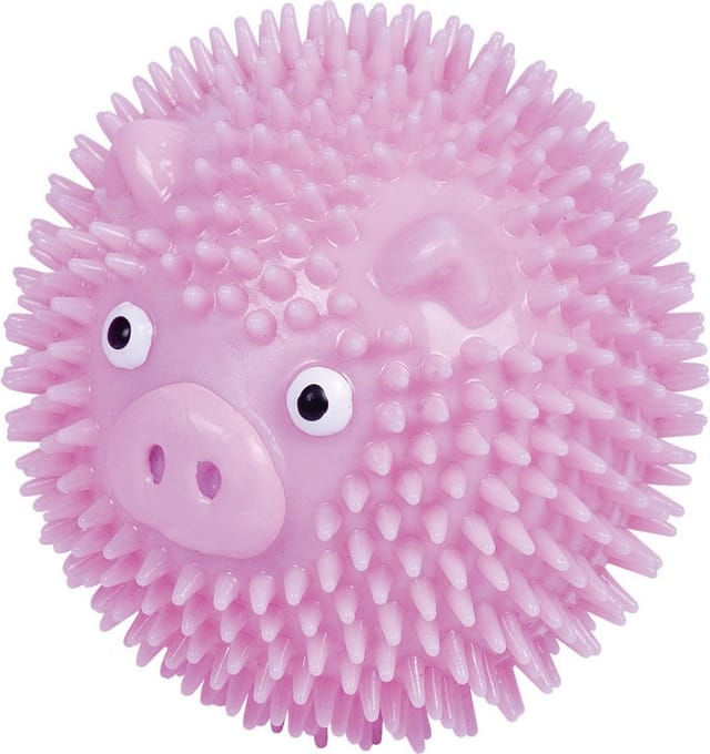 Tpr Noppen Ball Pig pink 6,5 cm Ball - Nobby