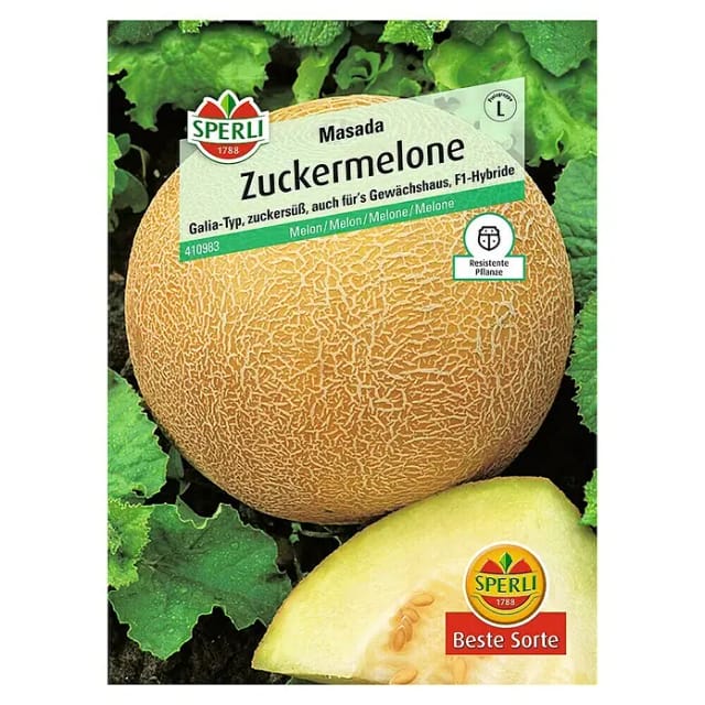 Zuckermelone Masada F1 Gemüsesamen - Sperli
