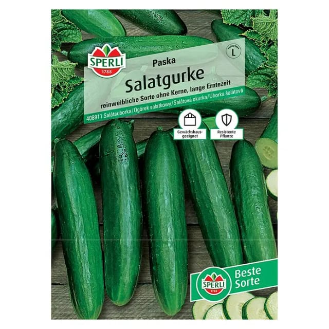 Salatgurke Paska F1 Gemüsesamen - Sperli